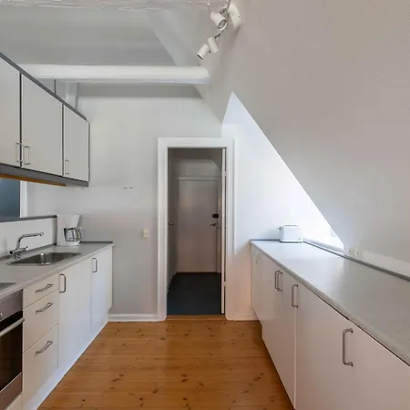 Apartment Unique W Exposed Beams Next To Tivoli Copenhagen