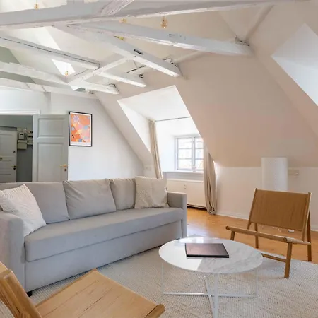 Apartment Unique W Exposed Beams Next To Tivoli